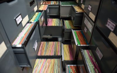 What Can a Document Management Consultant Do for You?